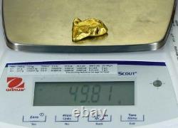 #553 Large Alaskan BC Natural Gold Nugget 49.81 Grams Genuine