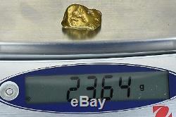 #554 Large Alaskan BC Natural Gold Nugget 23.64 Grams Genuine