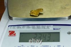#555 Large Alaskan BC Natural Gold Nugget 23.43 Grams Genuine
