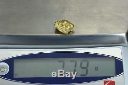 #556 Alaskan BC Natural Gold Nugget 7.79 Grams Genuine