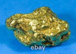 #556 Large Alaskan BC Natural Gold Nugget 22.81 Grams Genuine
