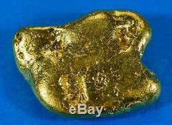 #556 Large Alaskan BC Natural Gold Nugget 24.57 Grams Genuine