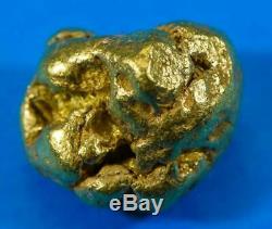 #556A Large Alaskan BC Natural Gold Nugget 23.26 Grams Genuine