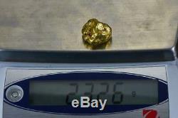 #556A Large Alaskan BC Natural Gold Nugget 23.26 Grams Genuine