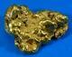#557 Large Alaskan Bc Natural Gold Nugget 27.81 Grams Genuine