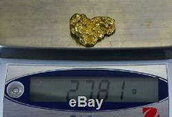 #557 Large Alaskan BC Natural Gold Nugget 27.81 Grams Genuine