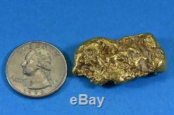 #557 Large Alaskan BC Natural Gold Nugget 33.19 Grams Genuine