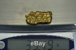 #557 Large Alaskan BC Natural Gold Nugget 33.19 Grams Genuine