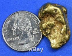 #558 Large Alaskan BC Natural Gold Nugget 21.45 Grams Genuine