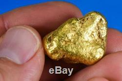 #558A Large Alaskan BC Natural Gold Nugget 30.03 Grams Genuine