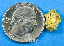 #56 Alaskan BC Natural Gold Nugget 1.72 Grams Genuine