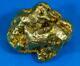#566 Large Alaskan Bc Natural Gold Nugget 42.78 Grams Genuine