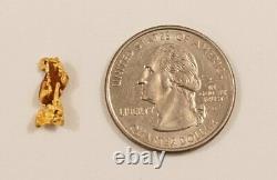 #6 Brazilian Crystalline Natural Gold Nugget 1.07 grams