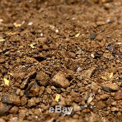 600g / 21.16oz AUSTRALIAN NATURAL GOLD PAYDIRT Guaranteed Gold Pay Dirt