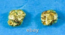 #603 Alaskan-Yukon BC Natural Gold Nugget Earrings 1.26 Grams