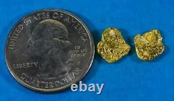 #615 Alaskan-Yukon BC Natural Gold Nugget Earrings 2.37 Grams