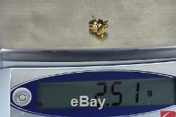 #646 Alaskan-Yukon BC Natural Gold Nugget Earrings 2.51 Grams