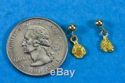 #695 Alaskan-Yukon BC Natural Gold Nugget Earrings 1.11 Grams