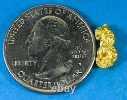 #721 Natural Gold Nugget Australian 1.39 Grams Genuine