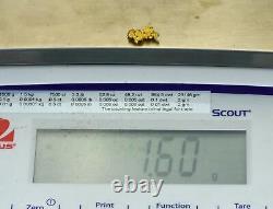 #725 Natural Gold Nugget Australian 1.60 Grams Genuine