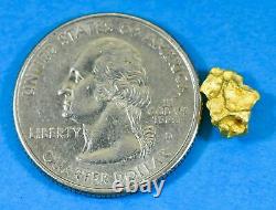 #727 Natural Gold Nugget Australian 1.47 Grams Genuine
