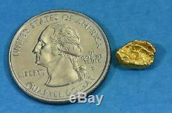 #733 Australian Natural Gold Nugget 1.68 Grams Genuine