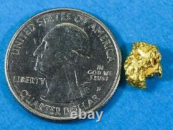#74 Alaskan BC Natural Gold Nugget 1.84 Grams Genuine