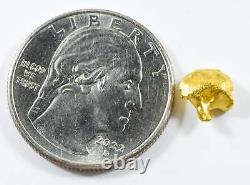 #750 Natural Gold Nugget Australian 1.59 Grams Genuine