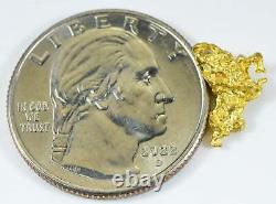 #751 Natural Gold Nugget Australian 1.50 Grams Genuine