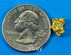 #763 Natural Gold Nugget Australian 1.37 Grams Genuine