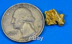#77 Alaskan BC Natural Gold Nugget 1.80 Grams Genuine