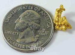 #771 Natural Gold Nugget Australian 1.23 Grams Genuine
