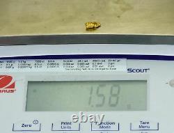 #774 Natural Gold Nugget Australian 1.58 Grams Genuine