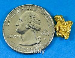 #78 Alaskan BC Natural Gold Nugget 1.40 Grams Genuine