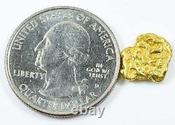 #79 Alaskan BC Natural Gold Nugget 1.70 Grams Genuine