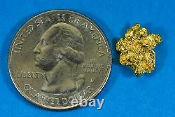 #8 Alaskan BC Natural Gold Nugget 1.13 Grams Genuine