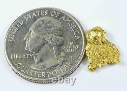 #8 Alaskan BC Natural Gold Nugget 1.64 Grams Genuine