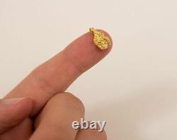 #8 Brazilian Crystalline Natural Gold Nugget 2.56 grams