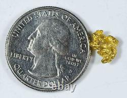 #801 Natural Gold Nugget Australian 1.33 Grams Genuine