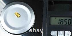 #823 Natural Gold Nugget Australian 1.85 Grams Genuine