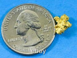 #831 Natural Gold Nugget Australian 1.34 Grams Genuine