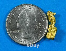#835 Natural Gold Nugget Australian 1.63 Grams Genuine