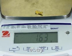 #835 Natural Gold Nugget Australian 1.63 Grams Genuine