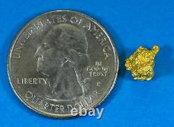 #841 Natural Gold Nugget Australian 1.27 Grams Genuine