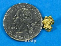 #844 Natural Gold Nugget Australian 1.51 Grams Genuine