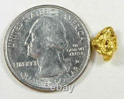 #847 Natural Gold Nugget Australian 1.56 Grams Genuine