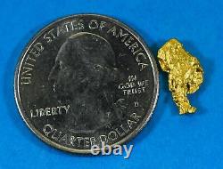 #852 Natural Gold Nugget Australian 1.29 Grams Genuine