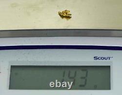 #856 Natural Gold Nugget Australian 1.43 Grams Genuine