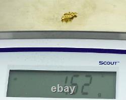 #857 Natural Gold Nugget Australian 1.62 Grams Genuine