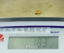 #863 Natural Gold Nugget Australian 1.83 Grams Genuine